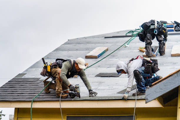 Professional Roofing technician working in Park City, MT
